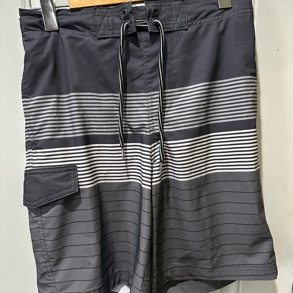 Men's Gray Striped Swim Shorts